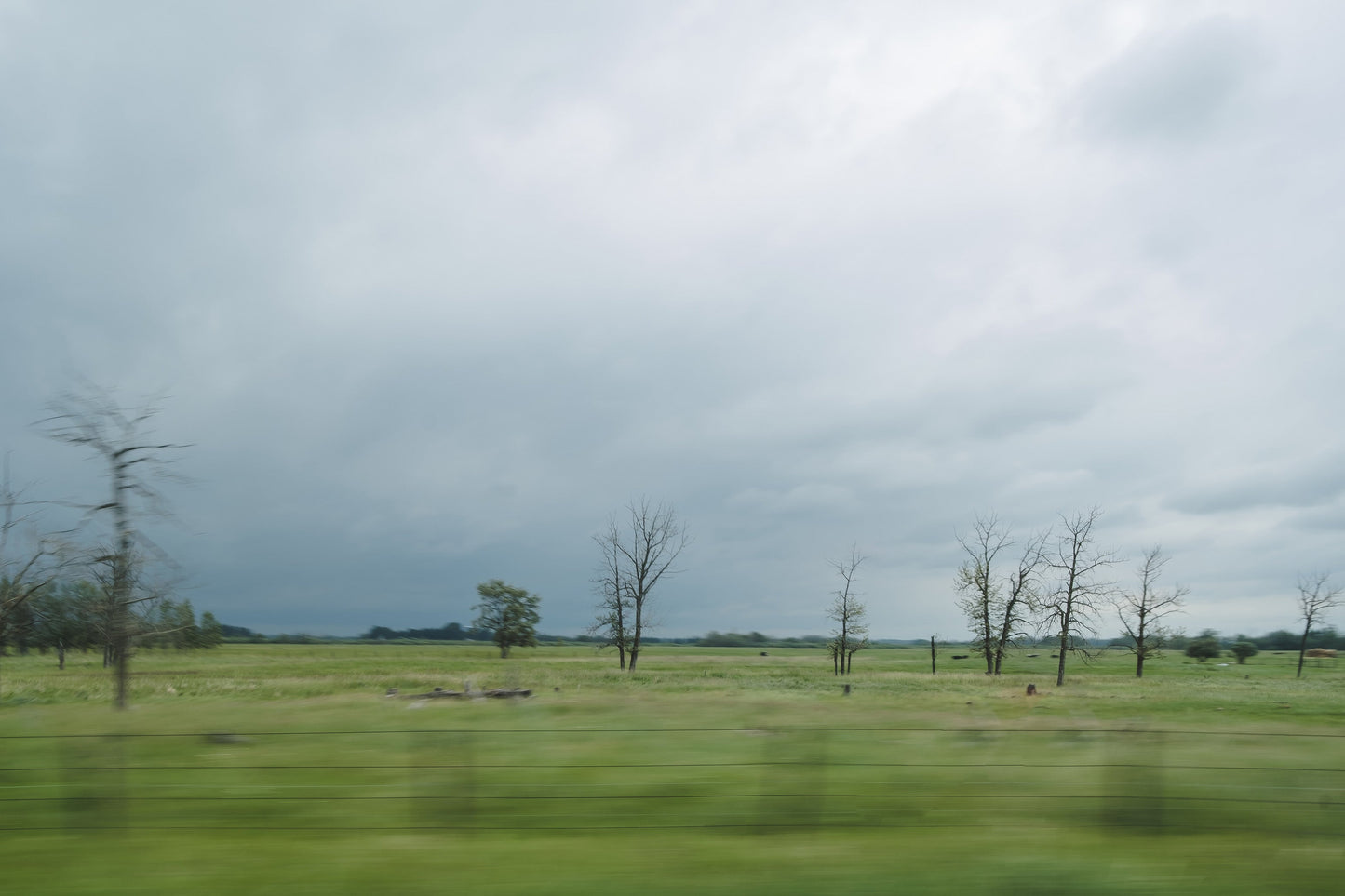 Prairie