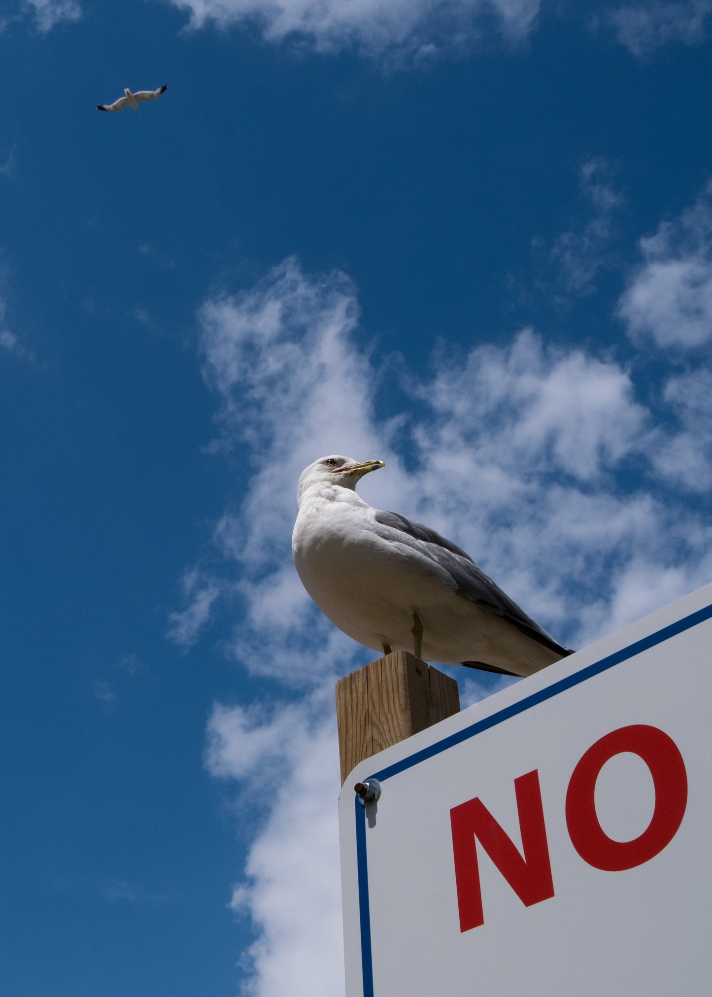 No! 1