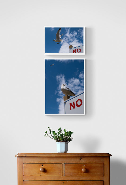 No Perching + No Flying | Combo